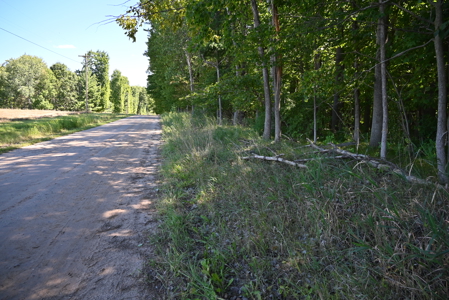 26.6 Acres on a Paved Road in Isabella County MI - image 1