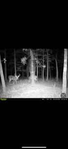 Home On Acreage For Sale in Kingston, AR - image 32