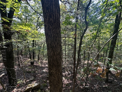 10.14+/- Acres of Land For Sale west of Searcy, AR - image 10