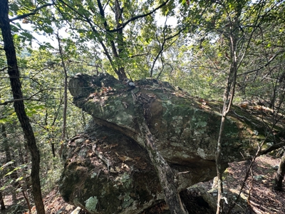 10.14+/- Acres of Land For Sale west of Searcy, AR - image 7