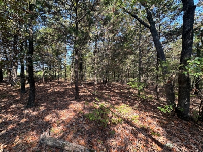 10.14+/- Acres of Land For Sale west of Searcy, AR - image 3
