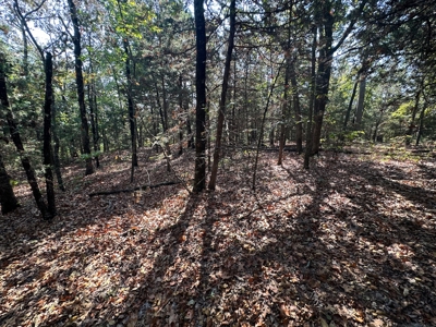 10.14+/- Acres of Land For Sale west of Searcy, AR - image 22