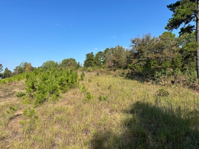 10.14+/- Acres of Land For Sale west of Searcy, AR - image 25