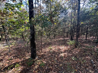 10.14+/- Acres of Land For Sale west of Searcy, AR - image 23