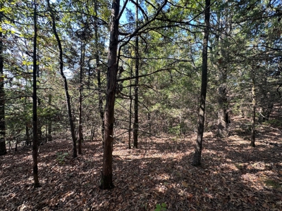 10.14+/- Acres of Land For Sale west of Searcy, AR - image 18