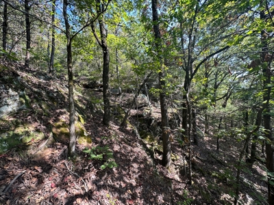 10.14+/- Acres of Land For Sale west of Searcy, AR - image 14