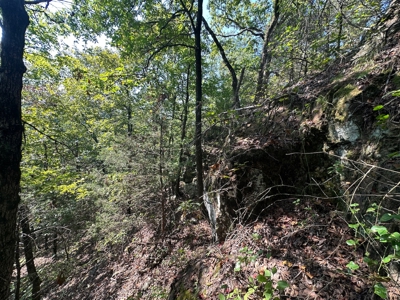 10.14+/- Acres of Land For Sale west of Searcy, AR - image 13