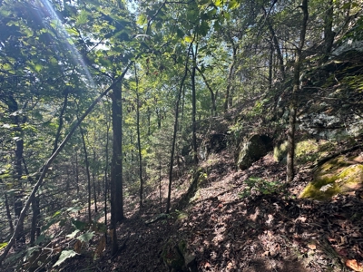 10.14+/- Acres of Land For Sale west of Searcy, AR - image 9