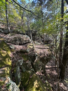 10.14+/- Acres of Land For Sale west of Searcy, AR - image 12