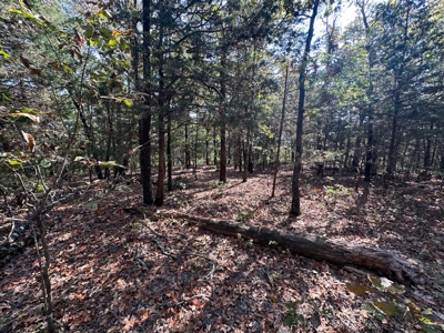 10.14+/- Acres of Land For Sale west of Searcy, AR - image 4