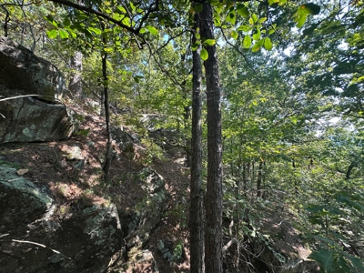 10.14+/- Acres of Land For Sale west of Searcy, AR - image 8