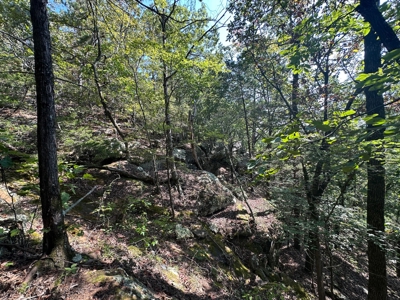 10.14+/- Acres of Land For Sale west of Searcy, AR - image 15