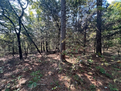 10.14+/- Acres of Land For Sale west of Searcy, AR - image 6