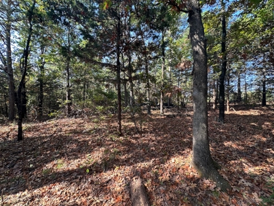 10.14+/- Acres of Land For Sale west of Searcy, AR - image 20