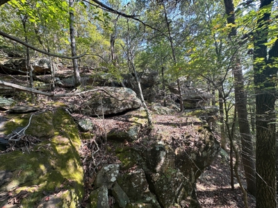 10.14+/- Acres of Land For Sale west of Searcy, AR - image 11