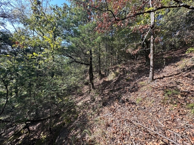 10.14+/- Acres of Land For Sale west of Searcy, AR - image 17