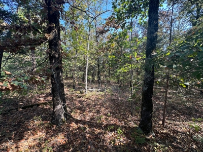 10.14+/- Acres of Land For Sale west of Searcy, AR - image 24