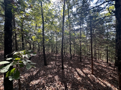 10.14+/- Acres of Land For Sale west of Searcy, AR - image 19