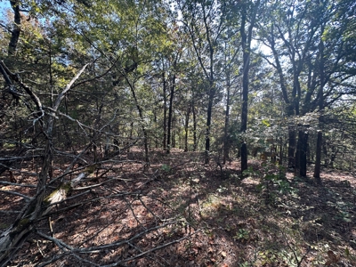 10.14+/- Acres of Land For Sale west of Searcy, AR - image 5