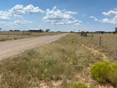 2-Acre Horse Lot with Mountain Views – Moriarty, NM - image 8