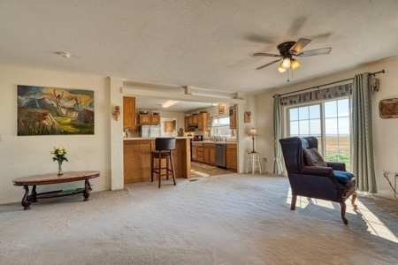 160 Acre Ranch with Arena – Estancia, NM - image 9