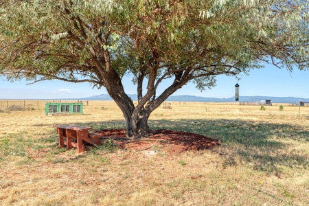 160 Acre Ranch with Arena – Estancia, NM - image 2
