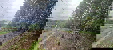 Mountain Lots for Sale in Toabré, Penonomé – 1.2 Hectares - image 8