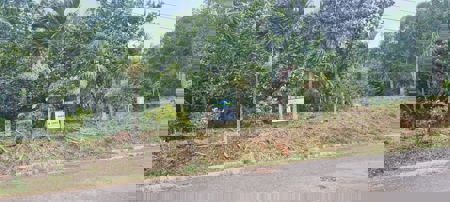 Mountain Lots for Sale in Toabré, Penonomé – 1.2 Hectares - image 7