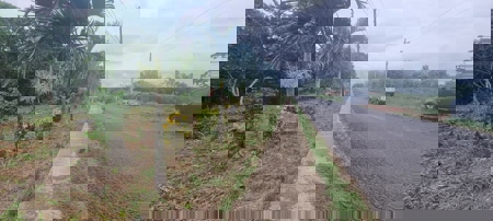 Mountain Lots for Sale in Toabré, Penonomé – 1.2 Hectares - image 2