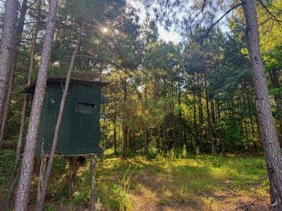 Northeast Lincoln Parish Land for Sale - image 11