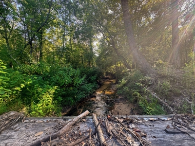 Northeast Lincoln Parish Land for Sale - image 9