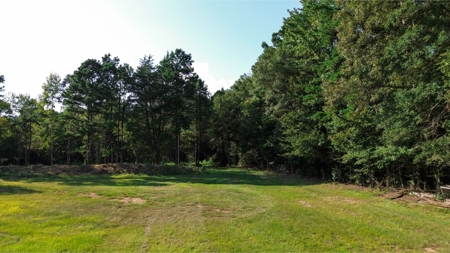 Northeast Lincoln Parish Land for Sale - image 28