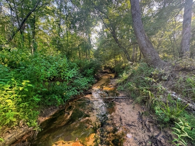 Northeast Lincoln Parish Land for Sale - image 8