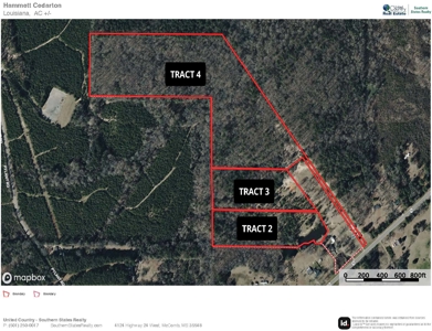 Northeast Lincoln Parish Land for Sale - image 36
