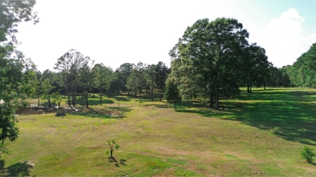 Northeast Lincoln Parish Land for Sale - image 18
