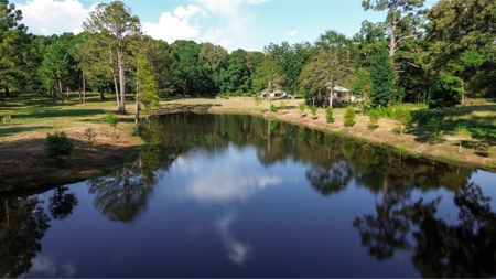 Northeast Lincoln Parish Land for Sale - image 32