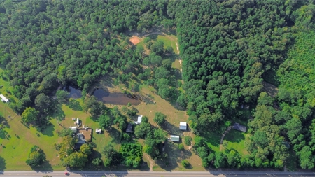 Northeast Lincoln Parish Land for Sale - image 25