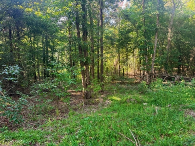 Northeast Lincoln Parish Land for Sale - image 10