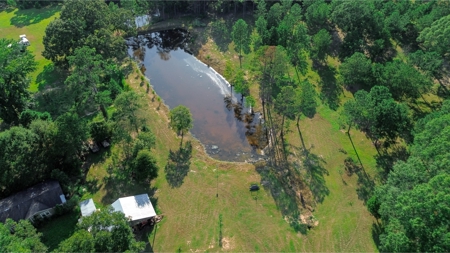 Northeast Lincoln Parish Land for Sale - image 21