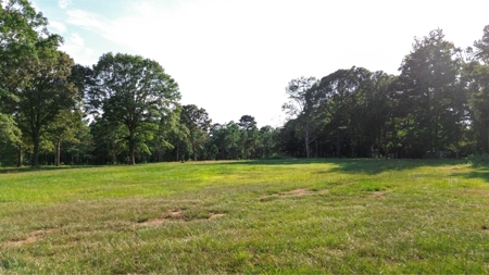 Northeast Lincoln Parish Land for Sale - image 30