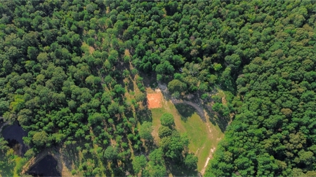 Northeast Lincoln Parish Land for Sale - image 26