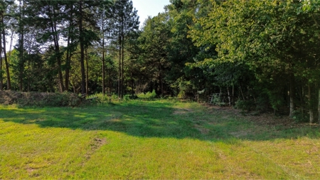 Northeast Lincoln Parish Land for Sale - image 29
