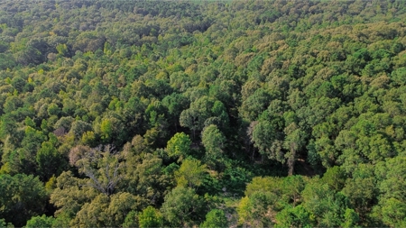 Northeast Lincoln Parish Land for Sale - image 27