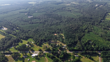 Northeast Lincoln Parish Land for Sale - image 23