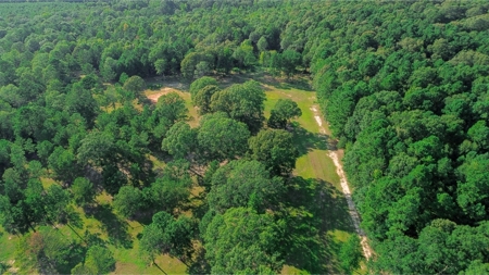 Northeast Lincoln Parish Land for Sale - image 22