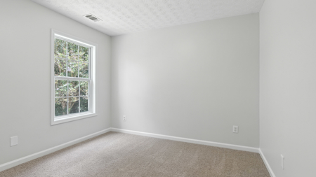 Newly Renovated Home Minutes from Lake Lanier/ Top Rated Schools! - image 39