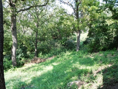 Move-in-Ready Country Home for Sale in Missouri Valley, Iowa - image 30
