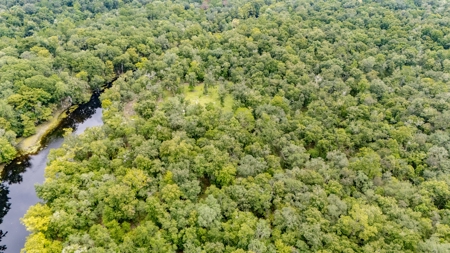 13.22 Acre Riverfront Property on the Santa Fe River - image 11