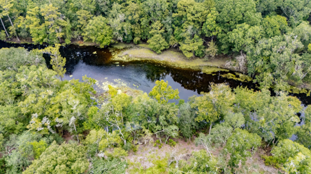 13.22 Acre Riverfront Property on the Santa Fe River - image 9
