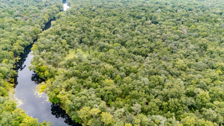 13.22 Acre Riverfront Property on the Santa Fe River - image 8